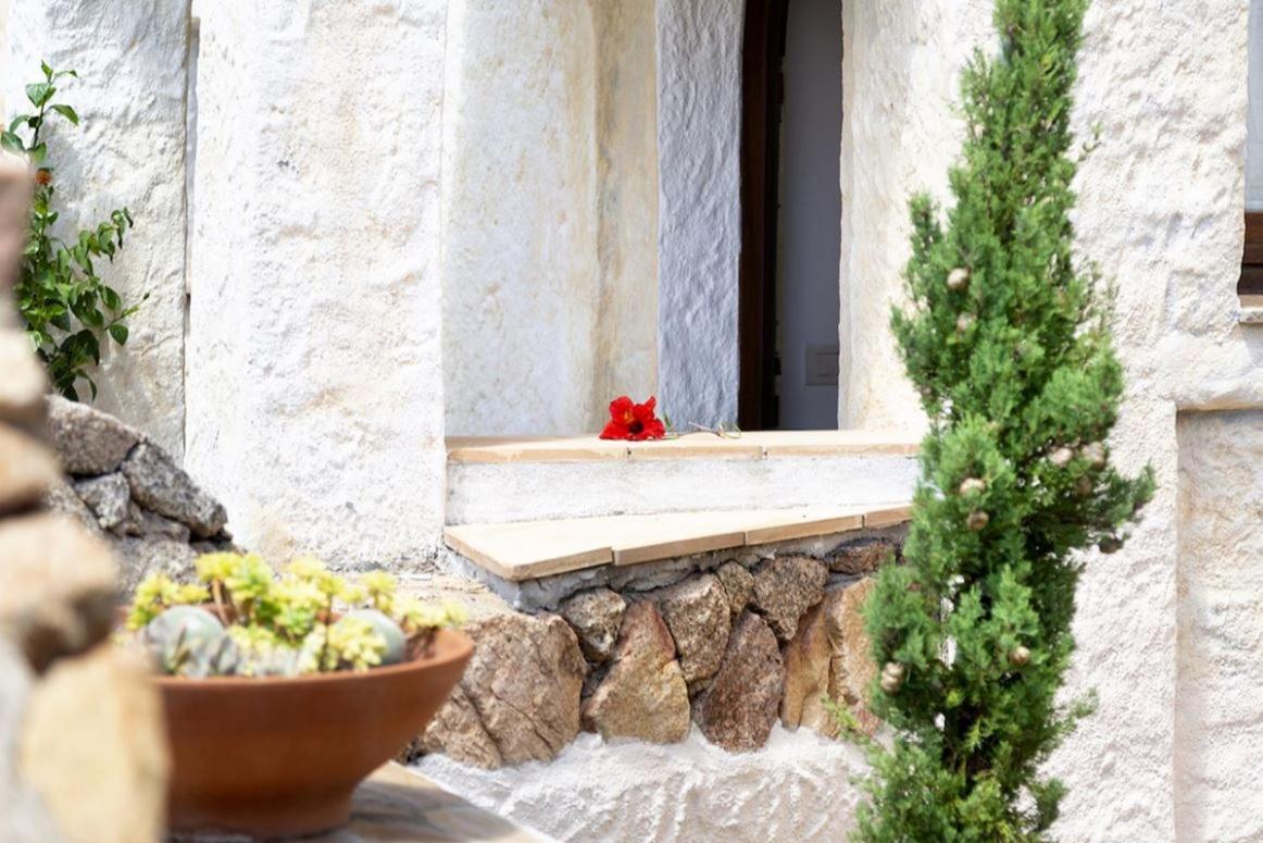 Villa Punta Saline Cannigione Exterior foto